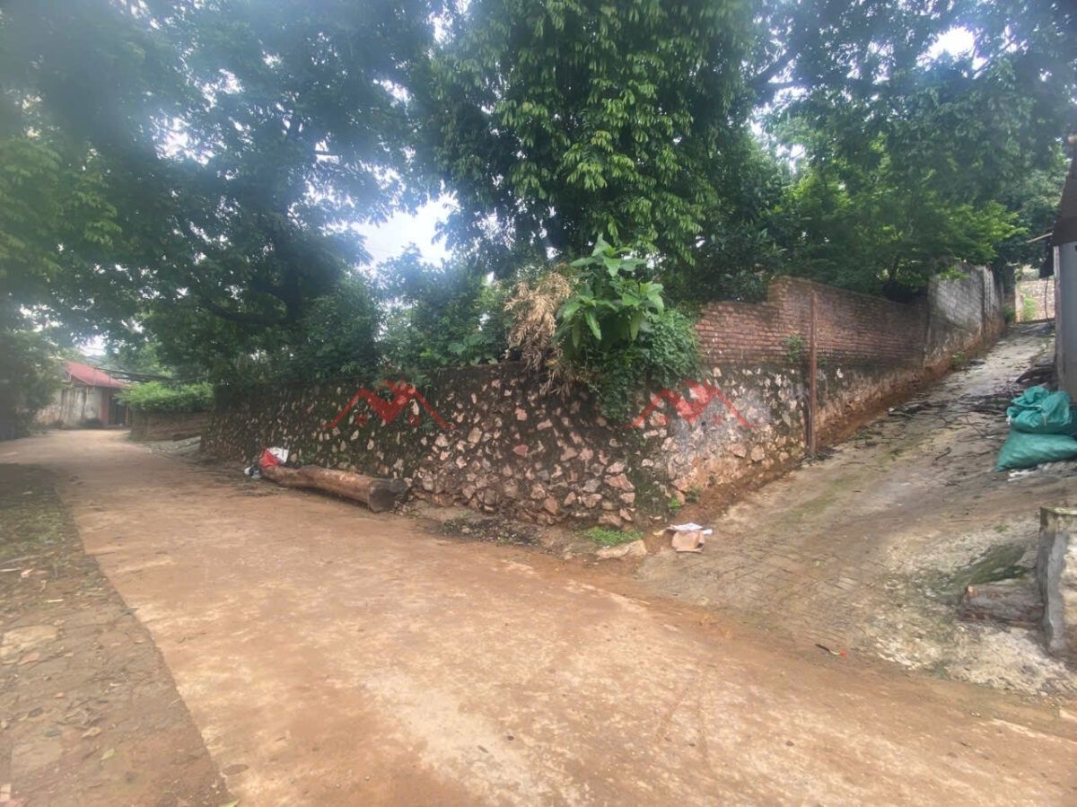 BÁN LÔ ĐẤT NGHỈ DƯỠNG 533M TẠI TIÊN PHƯƠNG-CHƯƠNG MỸ-HÀ NỘI