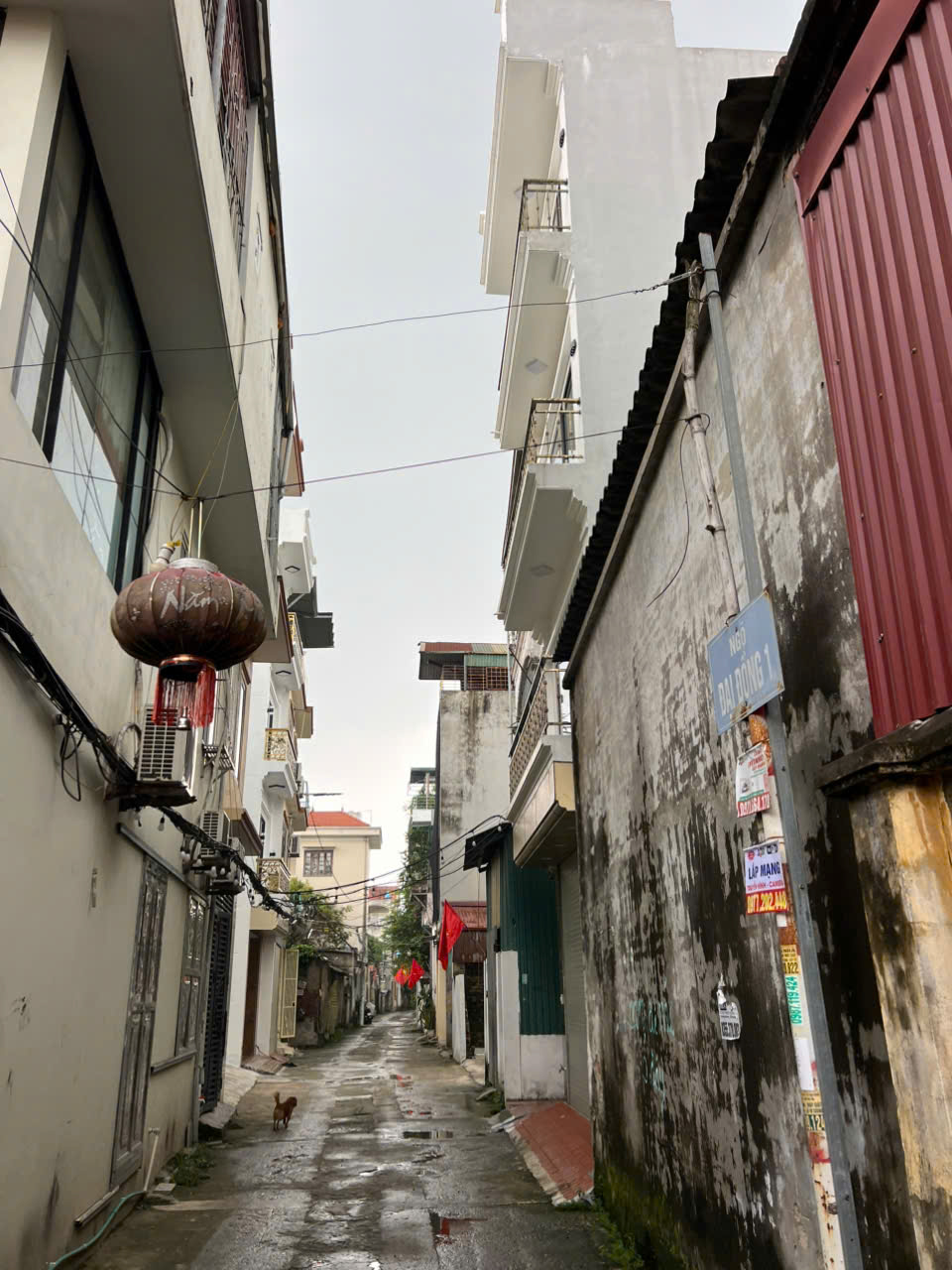 NHÀ CHÍNH CHỦ – BÁN GẤP – 60M -4 T ĐỦ CÔNG NĂNG 10M Ô TÔ TRÁNH. ĐẠI ĐỒNG – ĐÔNG MỸ