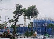 Chính chủ bán đất Cự Khê Thanh Oai, ngay khu đô thị Thanh Hà, 81m2. Giá 10 tỷ