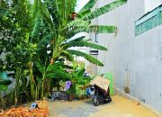 Bán đất thổ cư Đường Long Thuận, Phường Long Phước, TP HCM, DT 59m2, 4 x14.7m, SHR, 3.35 tỷ.