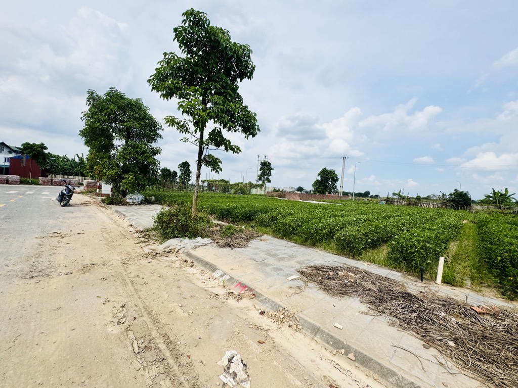 BÁN ĐẤT XUÂN CANH-ĐÔNG ANH-60M- NHỈNH10 TỶ(TL)