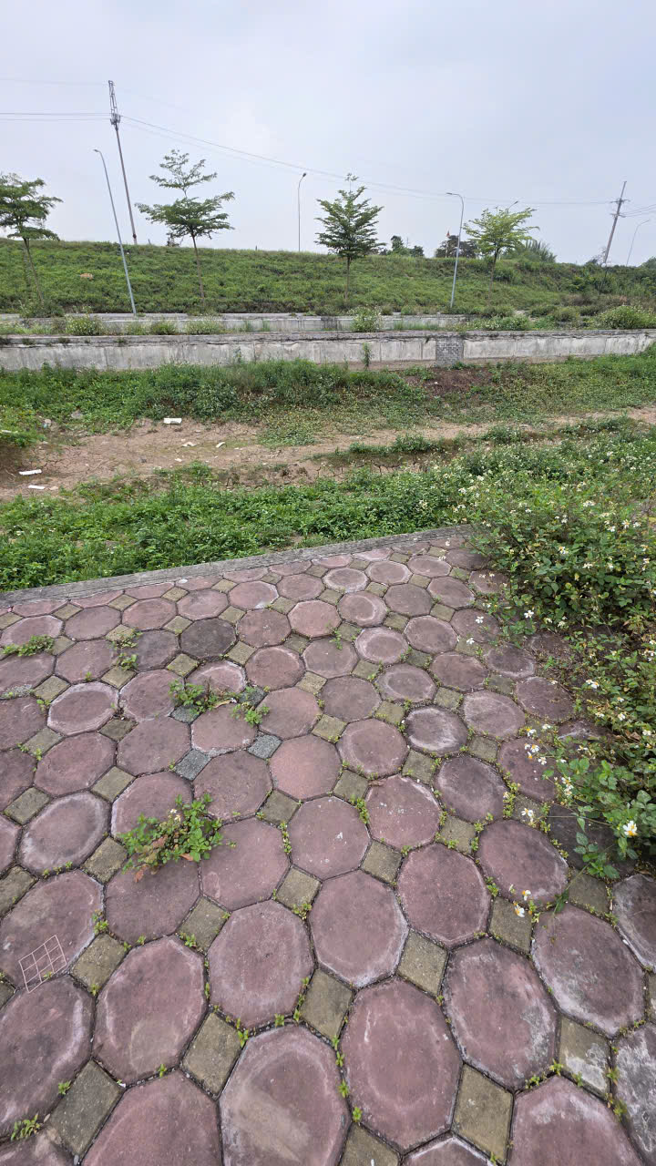B.Á.N ĐẤT ĐẤU GIÁ ĐAN PHƯỢNG, PHÂN LÔ, Ô TÔ TRÁNH, GẦN VÀNH ĐAI 4 – 76M2, 6 TỶ 5