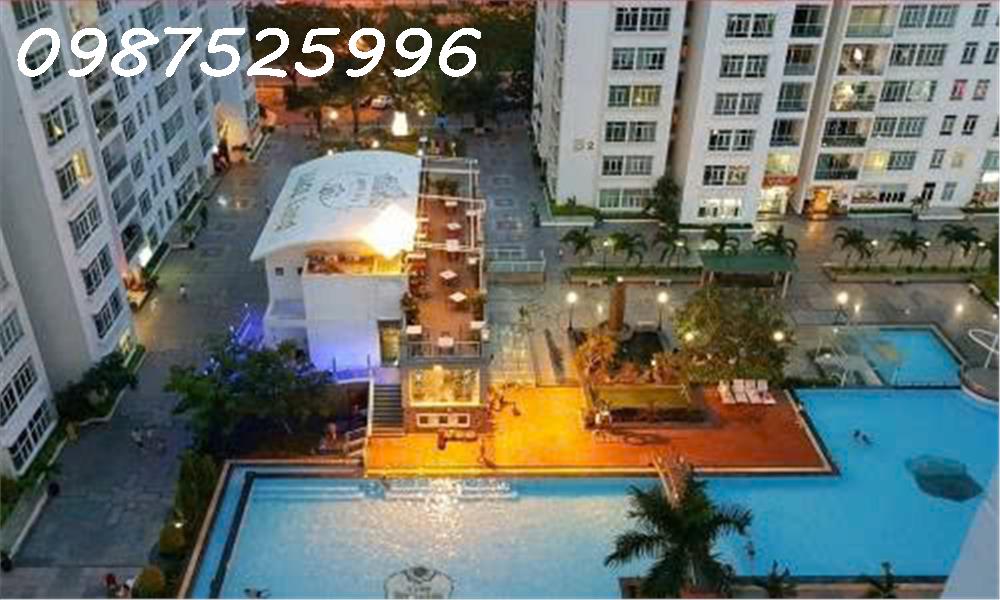 BÁN NHANH CĂN HỘ D23-7 NEW SAIGON – 126m², FULL NỘI THẤT GỖ TỰ NHIÊN – GIÁ CHỈ 4,9 TỶ