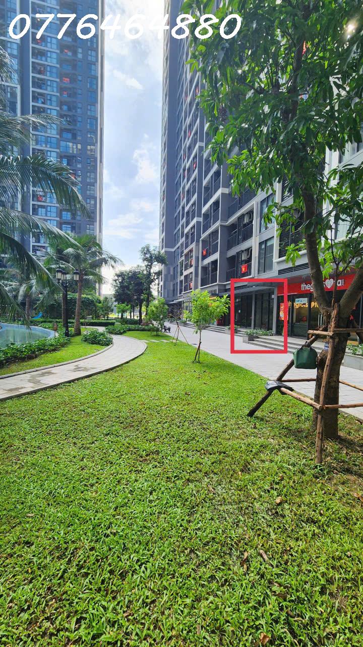 Bán shophouse khối đế Pavilion P1 – Vinhomes Ocean Park 1