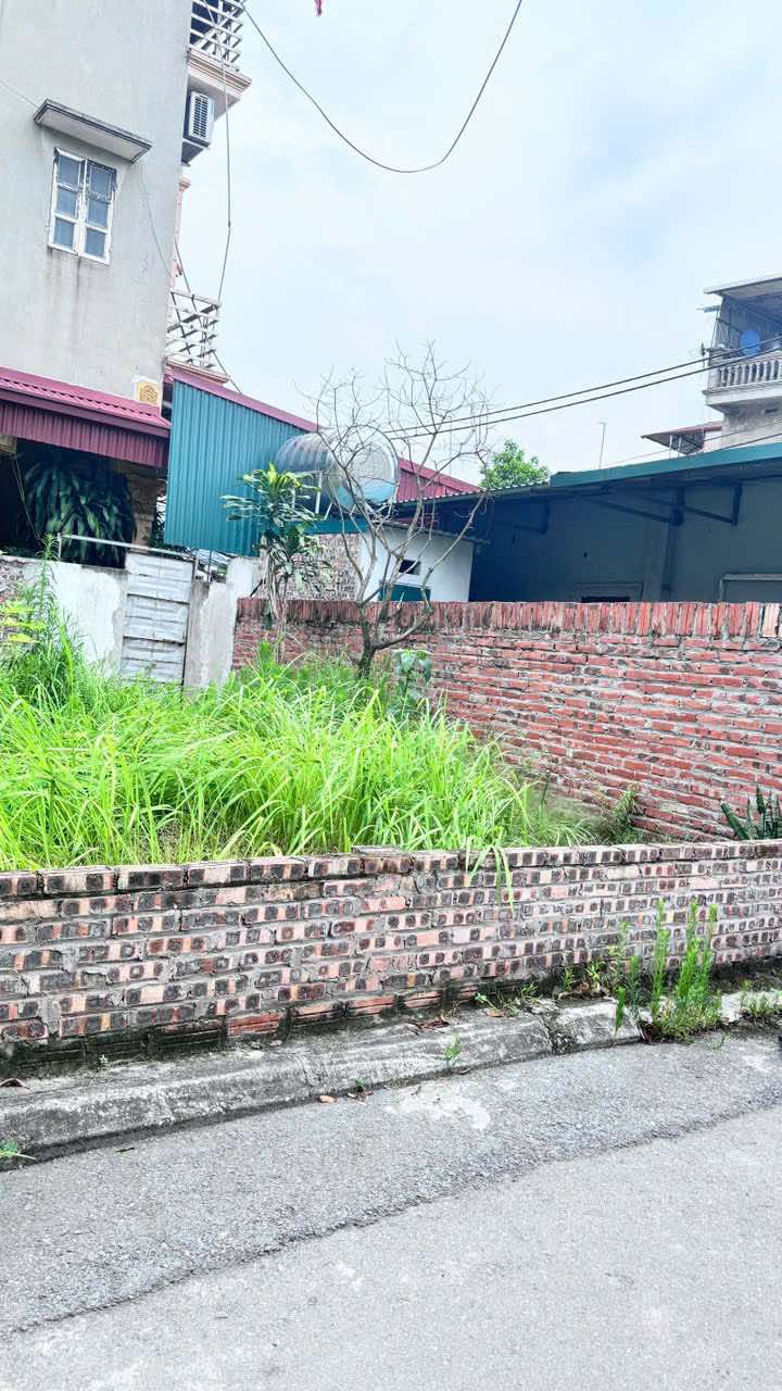 BÁN ĐẤT MẶT ĐƯỜNG GIAO TẤT – KIM SƠN – GIA LÂM – VỊ TRÍ KINH DOANH ĐẸP