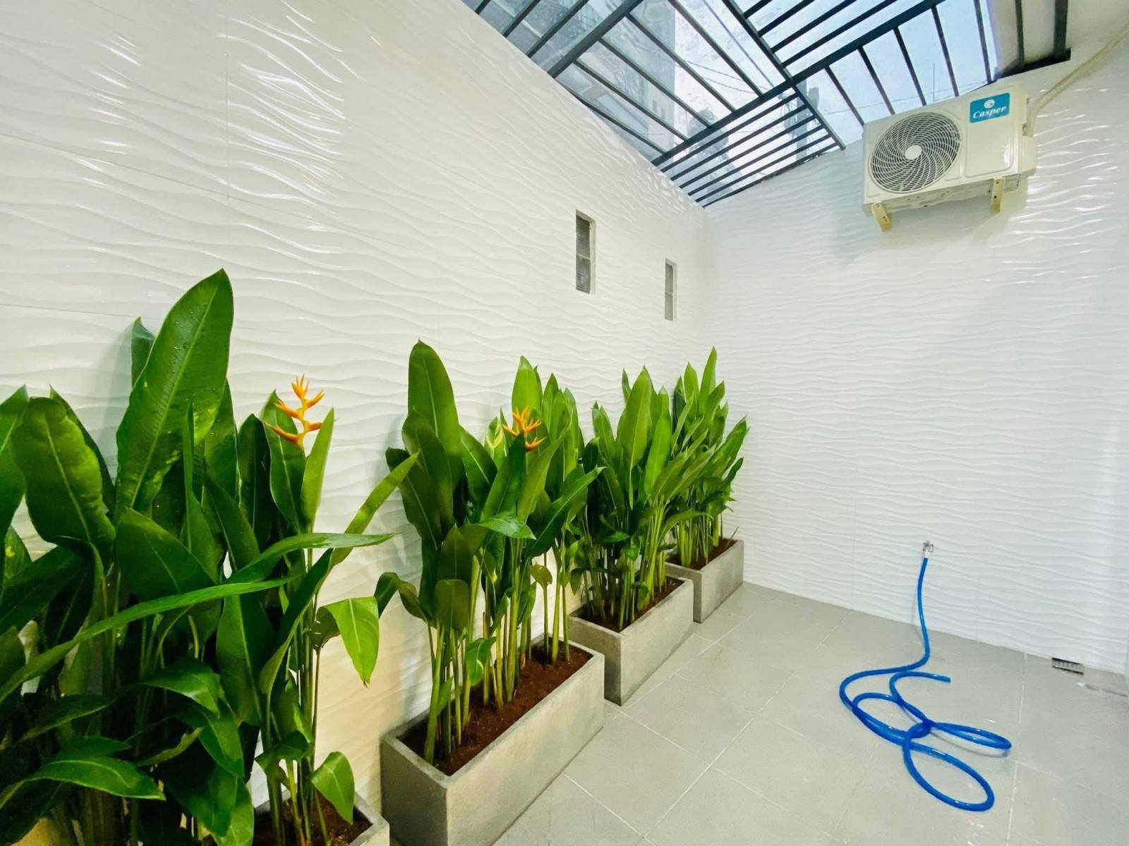 Nhà Đường Số 8 Quận Gò Vấp Phường 11 Cũ.