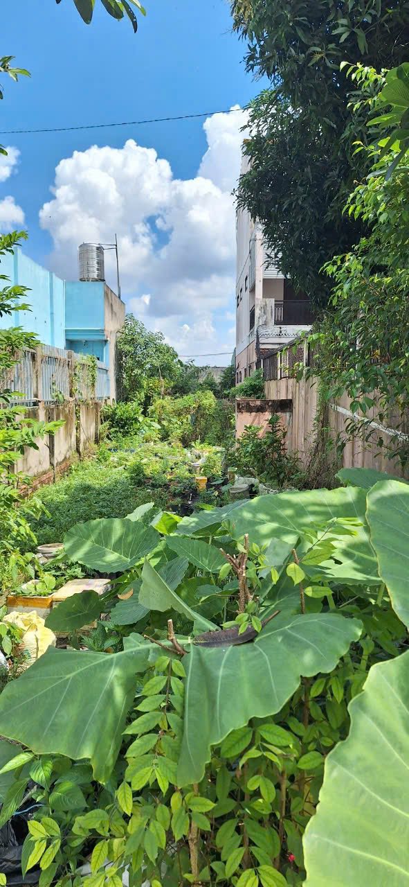 ĐẤT MẶT TIỀN ĐƯỜNG TÂN HIỆP 08, SÁT MẶT TIỀN ĐƯỜNG DƯƠNG CÔNG KHI. VỊ TRÍ ĐẮC ĐỊA KINH DOANH SẦM UẤT. 165M2 (5X33M).