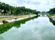 MẶT PHỐ NGUYỄN ĐÌNH HOÀN – NGUYỄN KHANG – 196M² – MT 7.6M – 5 TẦNG – 92 TỶ