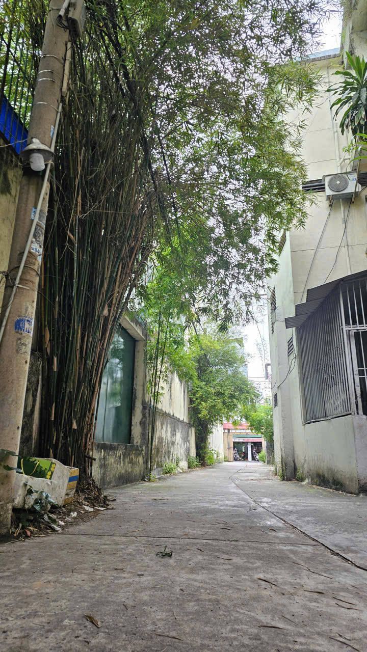 ĐẤT ĐẸP FULL THỔ CƯ – 4×19 – GIÁ CHỈ 2,3 TỶ – TRẦN THỊ BỐC, HÓC MÔN