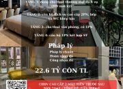 CHDV dòng tiền từ 50tr/tháng đường Nguyễn Thái Bình DTS 300m2 chỉ 22.6 tỷ TL