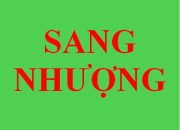 Sang nhượng gấp quán đồ uống – Phạm Ngọc Thạch, Đống Đa, Hà Nội