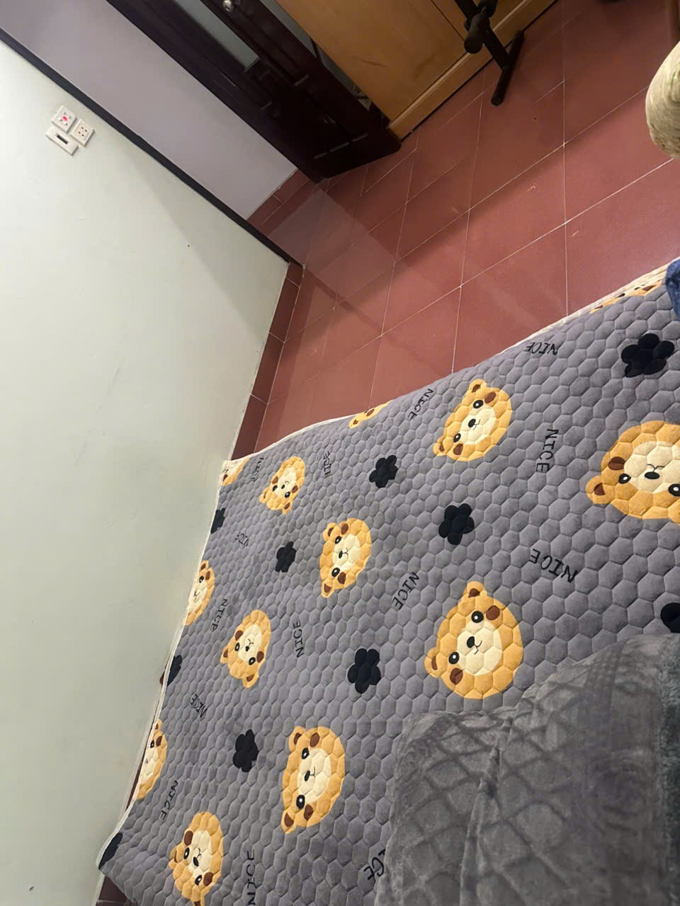 Cho thuê nhà nguyên căn Xã Đàn Ô Chợ 50m2 x 3 tầng, 3 ngủ, 3 wc. 13 triệu chốt.