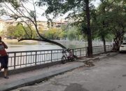 Biệt thự 4 tầng Võ Thị Sáu Lô Góc View Hồ 115m 36 tỷ.