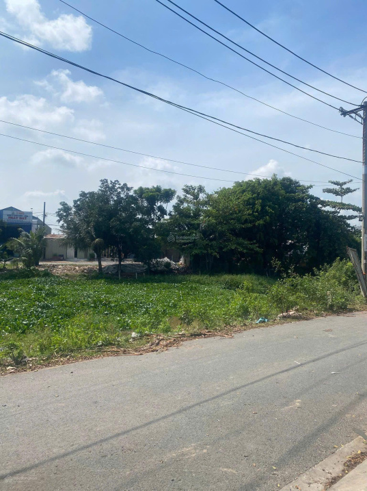 Chính chủ bán gấp chính chủ bán gấp lô đất 146.8m2 – MT Trần Hải Phụng, Bình Tân – Kẹt bank cắt lỗ