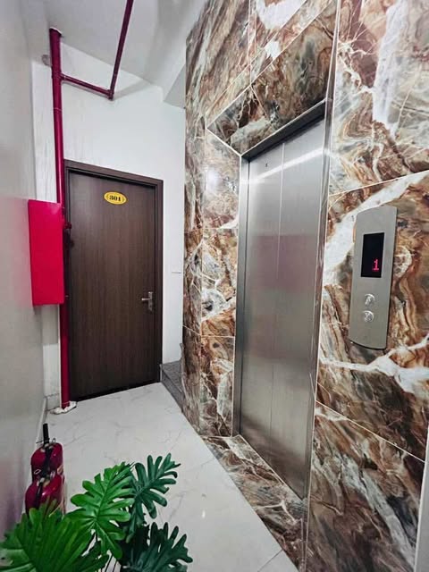 DÒNG TIỀN KHỦNG – NHÀ ĐẦU TƯ SĂN ĐÓN – MỸ ĐÌNH