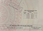 BÁN LÔ ĐẤT (15×17) LÔ GÓC 2MT ĐẸP NHỊ BÌNH (ĐÔNG THẠNH MỚI), HÓC MÔN