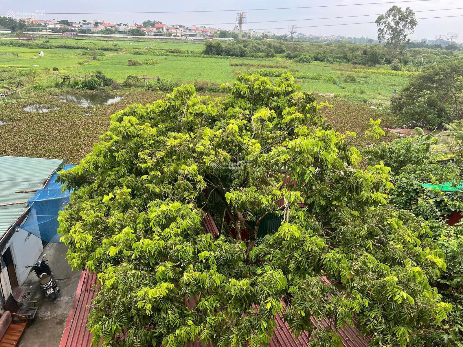 Có việc bán gấp! Ngọc Hồi, nhà vườn 175m2, 2 đường ô tô chỉ 10. X tỷ. LH: 0936 240 621