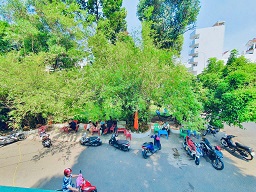 CHO THUÊ NHÀ VIEW GÓC 2 MẶT TIỀN 2 VỈA HÈ SÁT CÔNG VIÊN – 11 PHẠM NGŨ LÃO, P. HẠNH THÔNG, GÒ VẤP