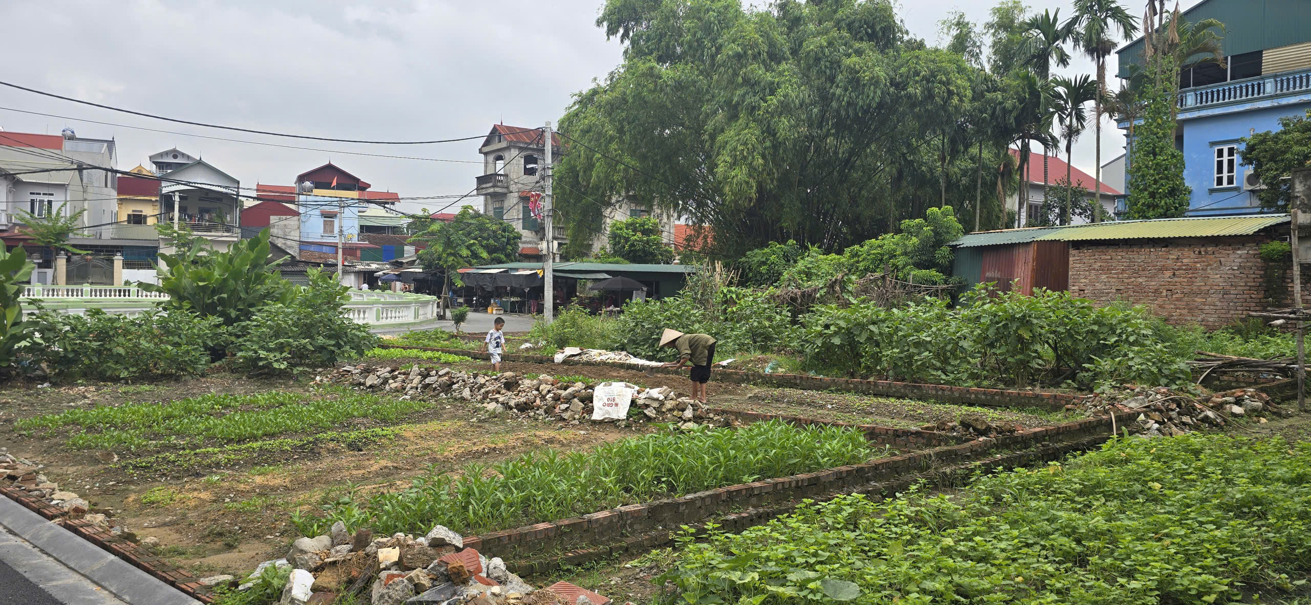 Bán đất mặt Hồ Gia Lộc – Gia Lương, xã Việt Hùng, Đông Anh – Nay là xã Thư Lâm, Thành phố Hà Nội, 91m2, miễn TG