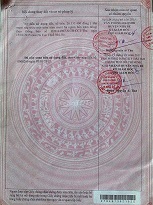 Chính Chủ Bán Gấp Đất Thổ Cư 1400m² – Mặt Tiền Phạm Hùng, Nhà Bè