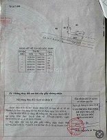 Chính Chủ Bán Gấp Đất Thổ Cư 1400m² – Mặt Tiền Phạm Hùng, Nhà Bè