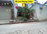 HÀNG SIÊU HIẾM 85,2M TẠI PHỤNG CHÂU-CHƯƠNG MỸ-HÀ NỘI