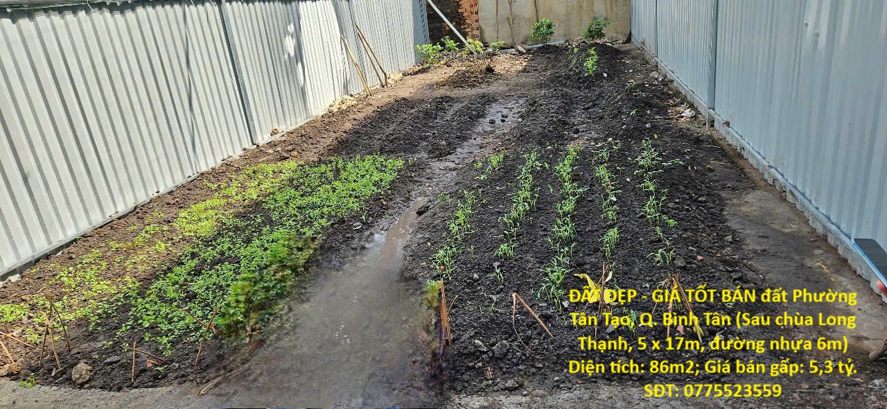 ĐẤT ĐẸP – GIÁ TỐT BÁN đất Phường Tân Tạo, Q. Bình Tân (Sau chùa Long Thạnh, 5 x 17m, đường nhựa 6m)