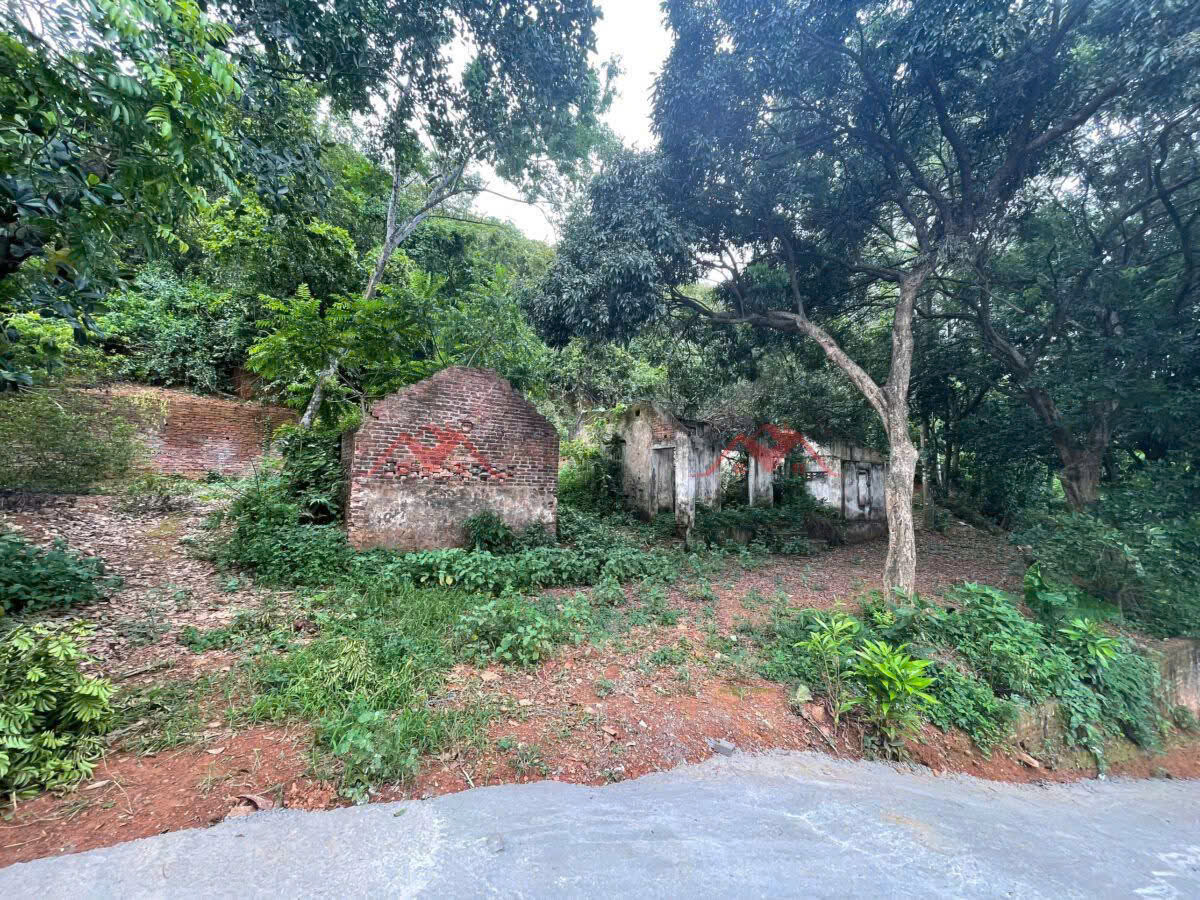 SIÊU PHẨM NGHỈ DƯỠNG 1267M TẠI TIÊN PHƯƠNG -CHƯƠNG MỸ-HÀ NỘI