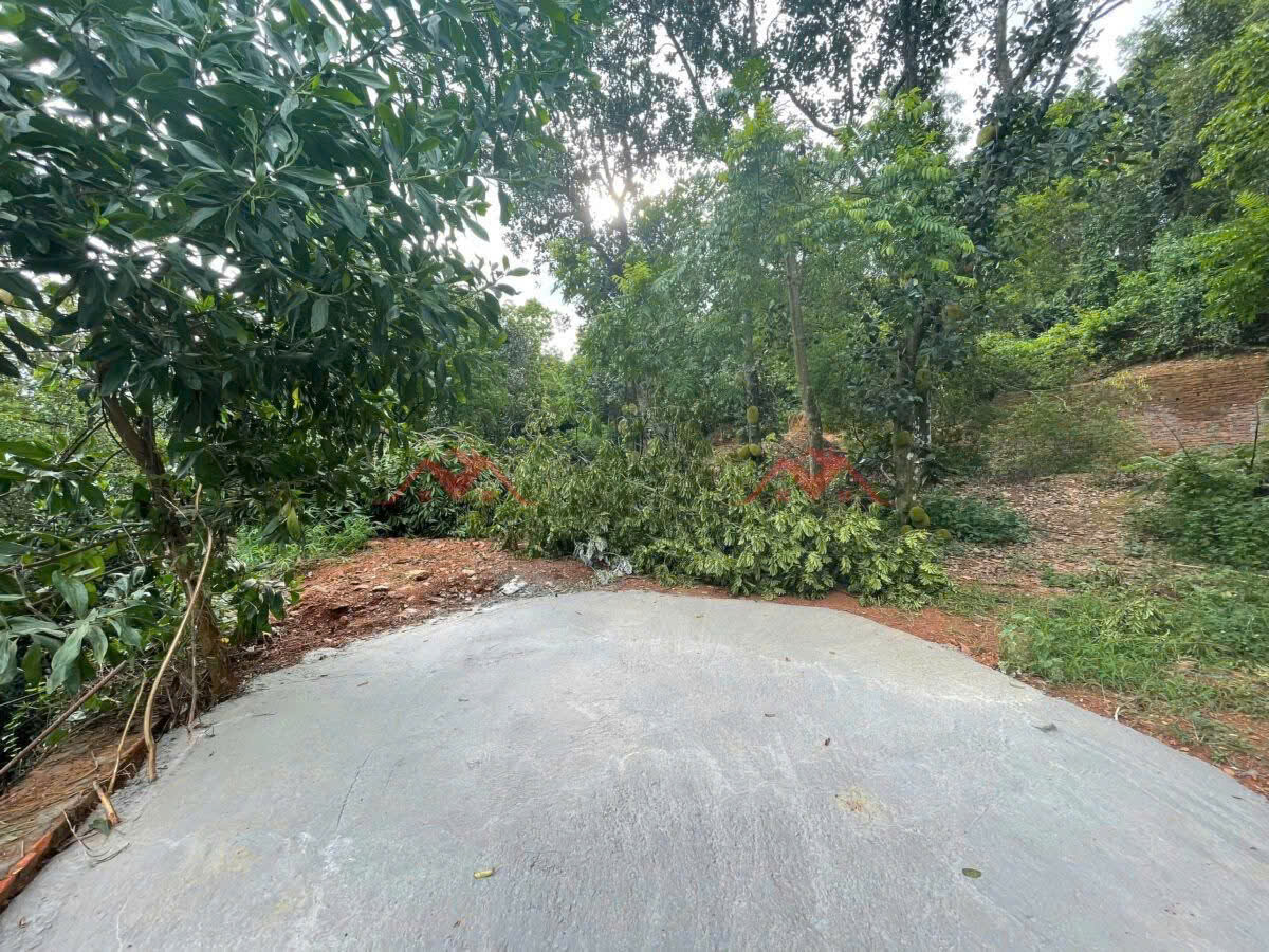 SIÊU PHẨM NGHỈ DƯỠNG 1267M TẠI TIÊN PHƯƠNG -CHƯƠNG MỸ-HÀ NỘI
