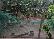 ĐẤT ĐẸP – GIÁ TỐT BÁN NHANH ĐẤT Xã Hoàng Diệu, Chương Mỹ, Hà Nội