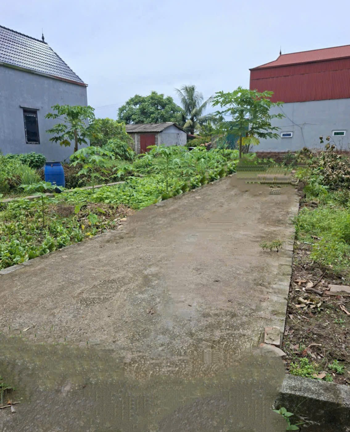 ĐẤT ĐẸP – GIÁ TỐT ĐẦU TƯ LÀ SINH LỜI CHÍNH CHỦ CẦN BÁN NHANH lô đất vị trí tại huyện Thanh Oai, HN