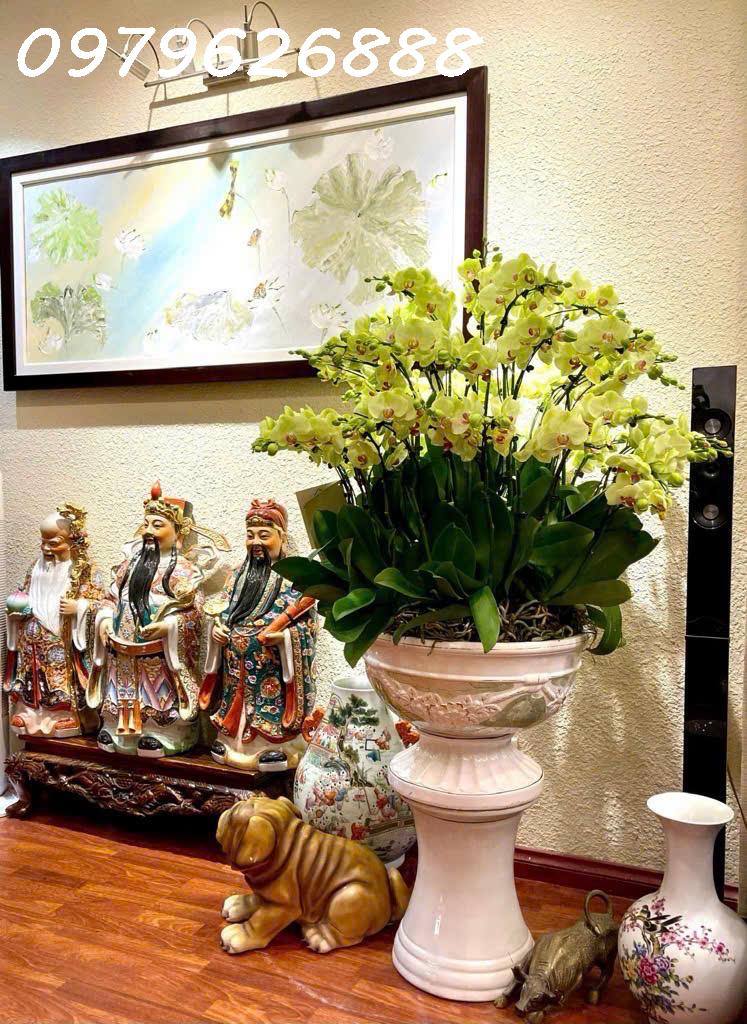 CƠ HỘI VÀNG – NHÀ PHỐ THÁI HÀ – CỰC HIẾM – Ô TÔ ĐỖ CỬA – KINH DOANH ĐỈNH CAO – 53x5T