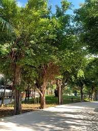 SIÊU PHẨM ĐẤT VEN SÔNG – QUẬN 9 (CŨ), GIÁP QUẬN 2