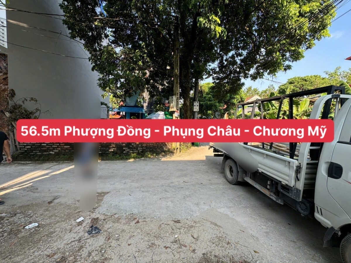 SIÊU HÓT BÁN LÔ ĐẤT 56,5M TẠI PHỤNG CHÂU-CHƯƠNG MỸ-HÀ NỘI