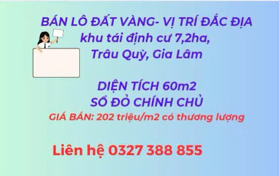 GĐ cần bán lô đất vàng chính chủ(đúng trên bìa đỏ) khu tái định cư 7,2 Ha,Trâu Quỳ,Gia Lâm