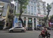 💥 TÒA NHÀ ĐẲNG CẤP MẶT PHỐ CỔ NGUYỄN HỮU HUÂN, 229M2 9T MT 13M, CHỈ 675 TỶ 💥