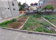 🔥 NHỈNH 3 TỶ – ĐẤT ĐẸP VÀNH ĐAI 4, ĐỨC THƯỢNG