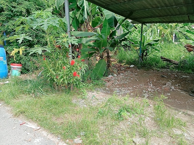 ĐẤT BÌNH CHIỂU, THỦ ĐỨC, XE TẢI, 71M2, NHỈNH 3 TỶ, GIÁ RẺ NHẤT.