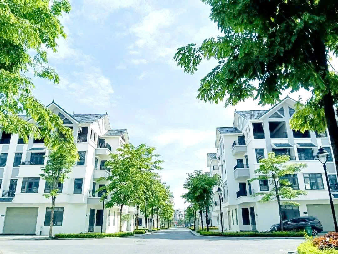 BÁN NHANH – LÔ LIỀN KỀ – HINDO NE – VỊ TRÍ ĐẸP SÁT CHỤC 30M – GẦN ĐƯỜNG 3.5. GIÁ CHỈ 16X TÝ LÀ ĐÃ SỞ HỬU NGAY CĂN LIỀN KẾ SẦM UẤT. NHANH TAY LH; 0964982442.