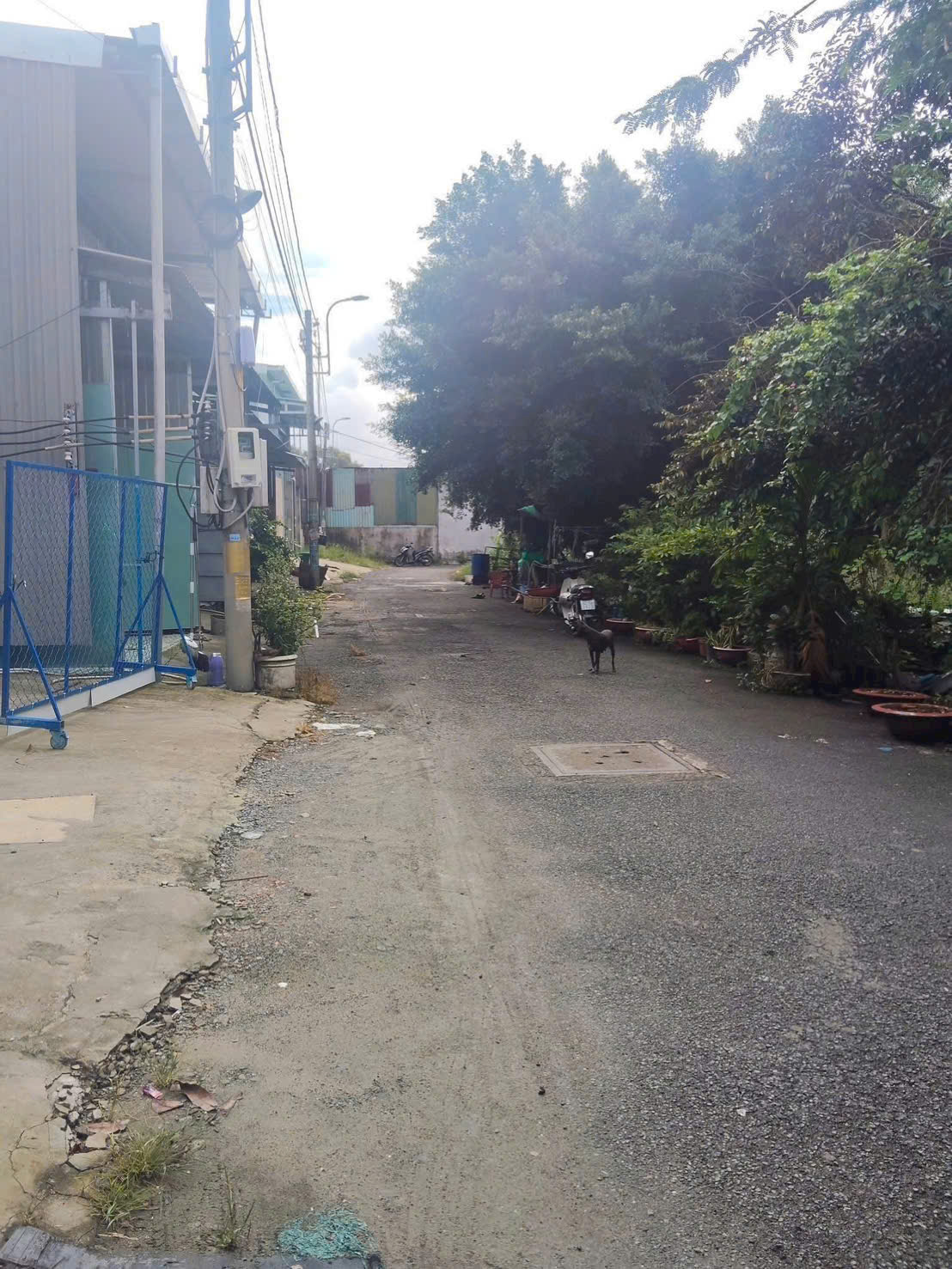 ĐẤT (32×34) 2 MẶT TIỀN XUÂN THỚI SƠN 26A, HÓC MÔN CHỈ 10,5 TỶ