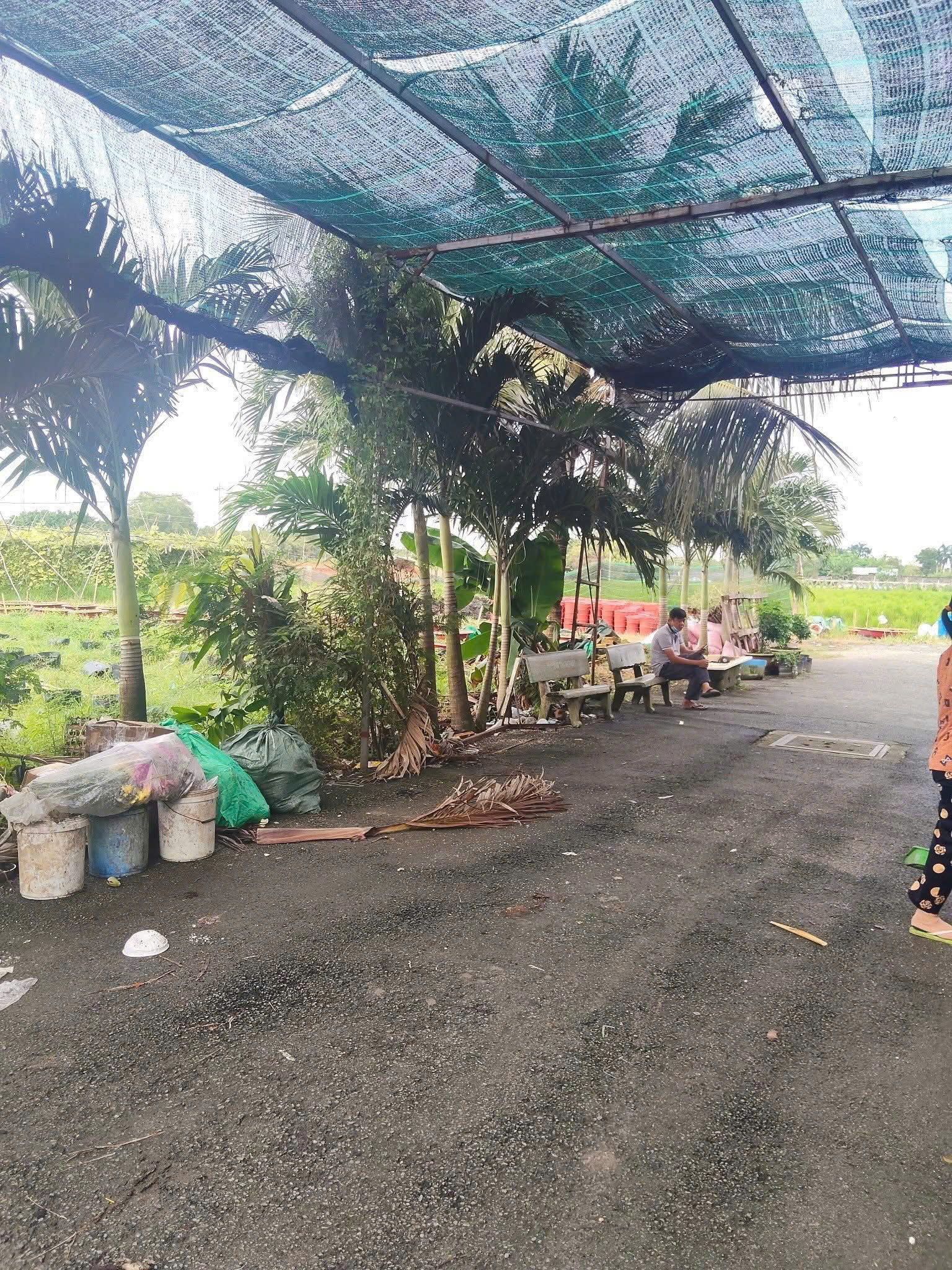 ĐẤT (32×34) 2 MẶT TIỀN XUÂN THỚI SƠN 26A, HÓC MÔN CHỈ 10,5 TỶ