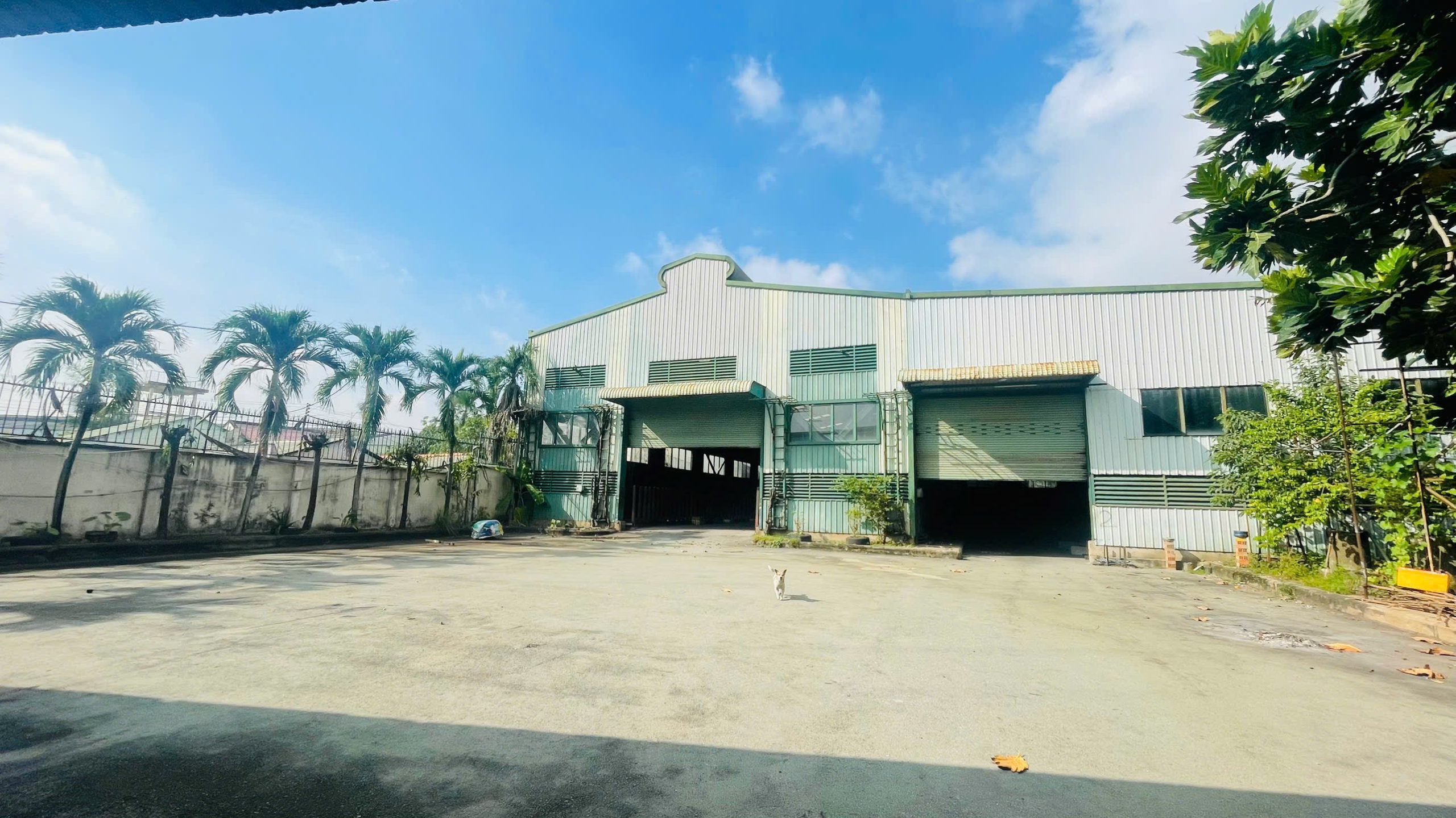 SIÊU HIẾM BDS KHO XƯỞNG – LINH TRUNG 1 – 3300M2 – CHỈ 20 TRIỆU/M²