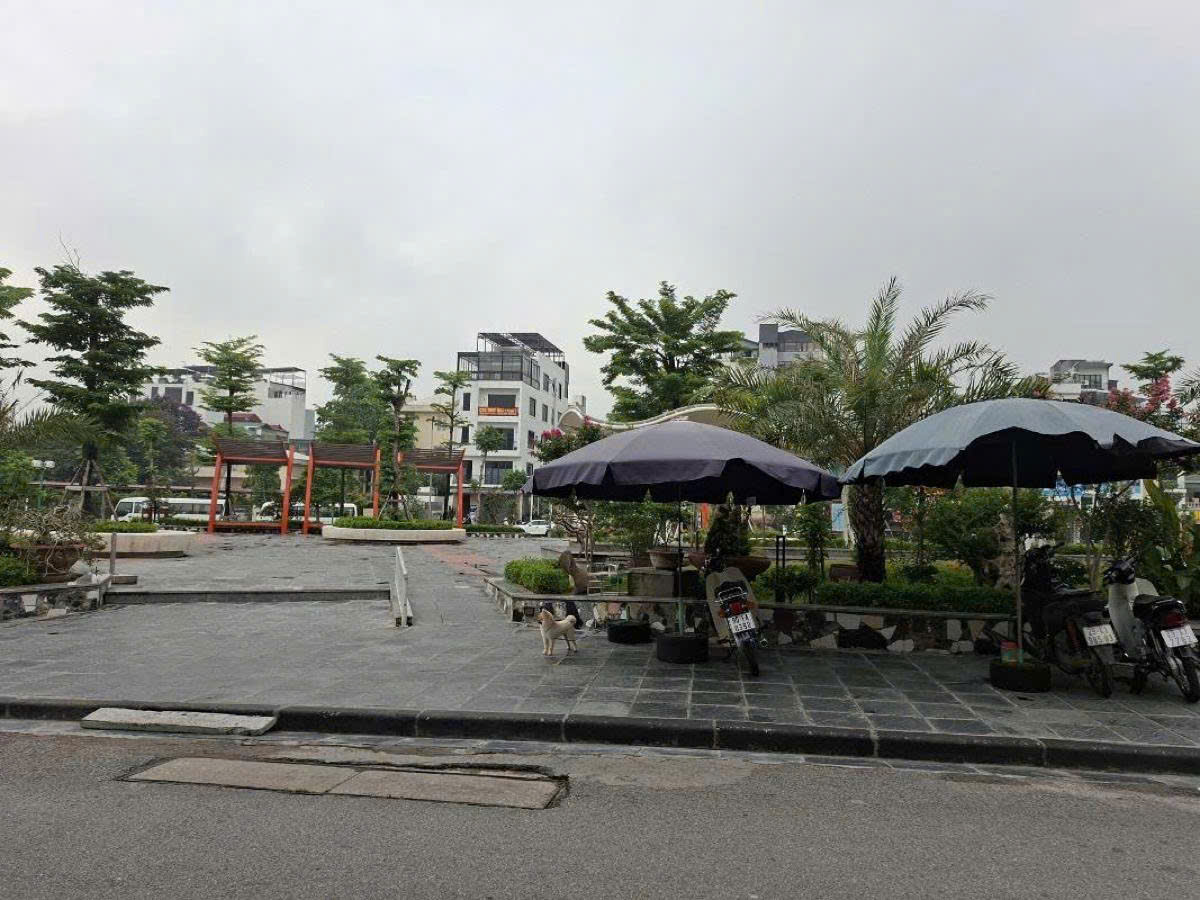 Bán đất Ngọc Thụy Long Biên, mặt phố kinh doanh