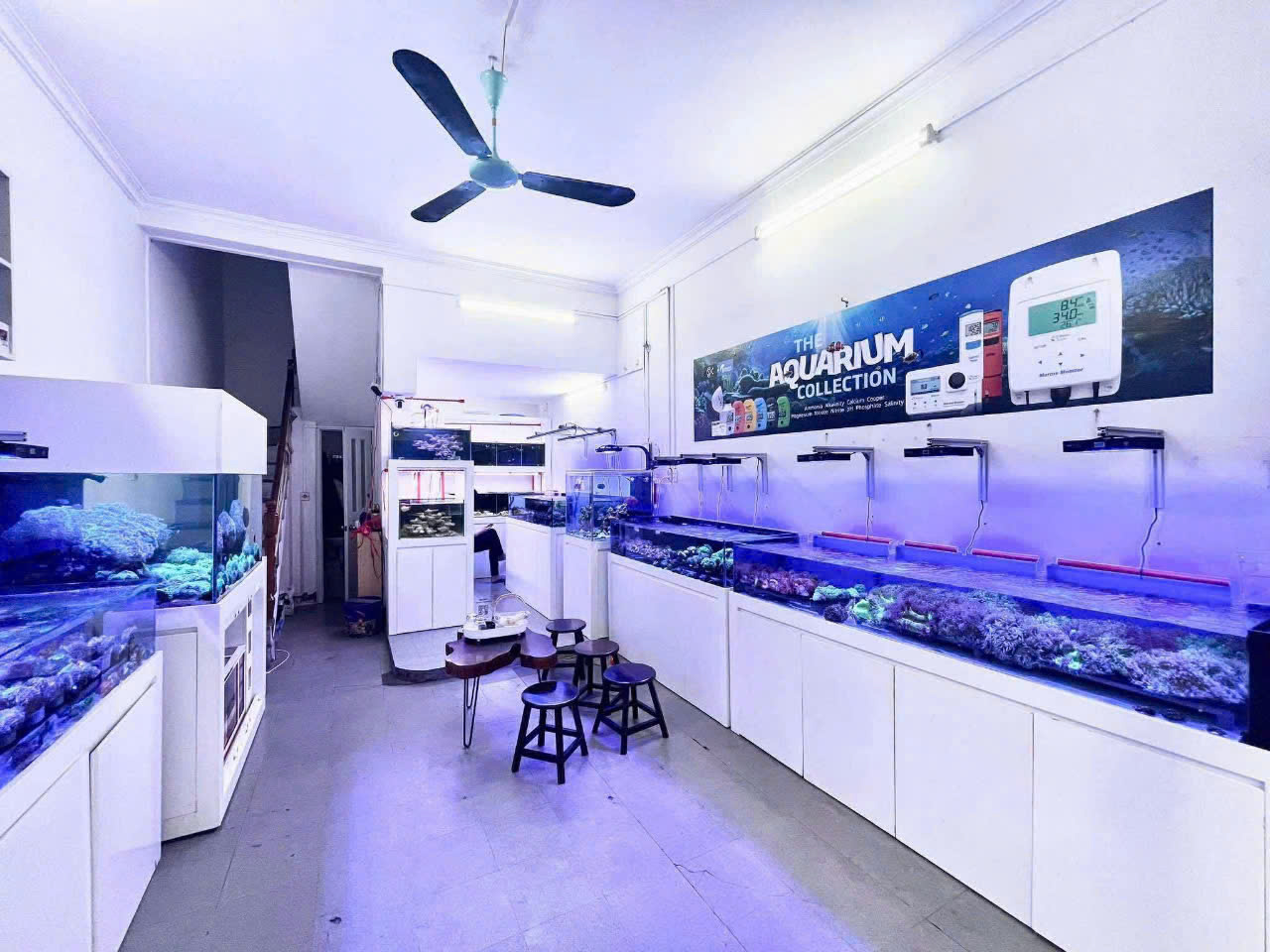 Trường Chinh ngõ ô tô 40m² x 3,5 tầng, 15 triệu