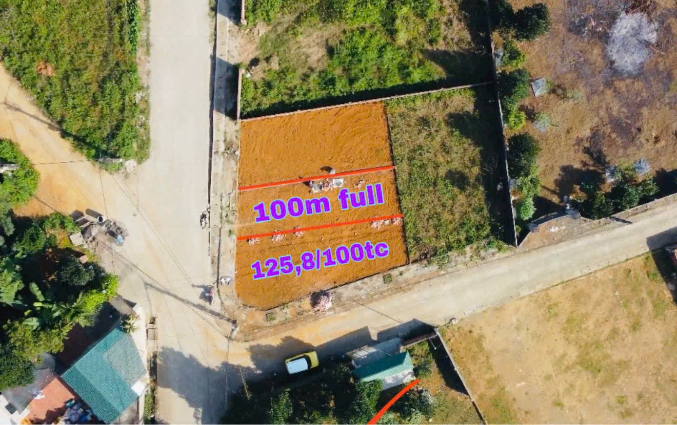 DUY NHẤT 2 LÔ F0 – GIÁ RẺ NHẤT THỊ TRƯỜNG