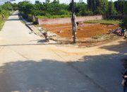 DUY NHẤT 2 LÔ F0 – GIÁ RẺ NHẤT THỊ TRƯỜNG