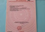 CẦN BÁN 2 LÔ ĐẤT ĐẸP – XÃ BÌNH CHÁNH, TP.HCM SỔ HỒNG RIÊNG – CHÍNH CHỦ – GIÁ 25 TRIỆU/m²