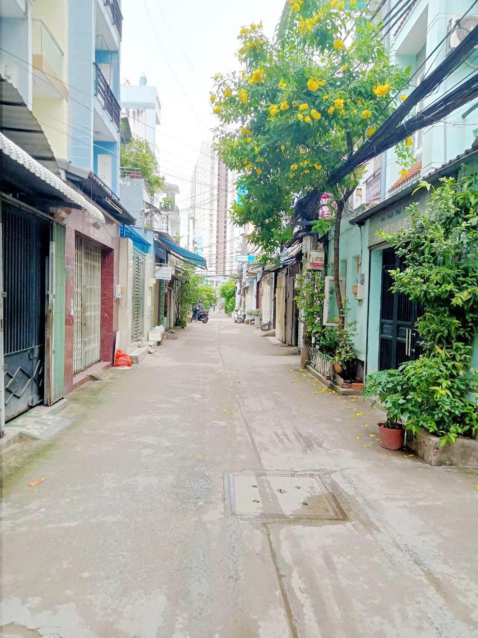 Nhà cấp 4 diện tích khủng 115m2 đường nhựa 6m Phạm Hùng P.Chánh Hưng P4Q8