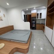 🌻Chính chủ cho thuê CHCC mini mới full nội thất tại 135 đê Trần Khát Chân, Hà Nội; 0828268686