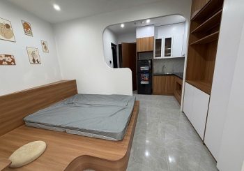 🌻Chính chủ cho thuê CHCC mini mới full nội thất tại 135 đê Trần Khát Chân, Hà Nội; 0828268686